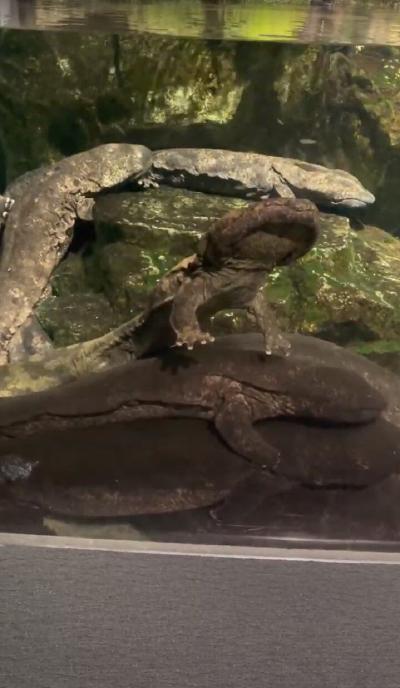 galleries/16/Screenshot 2023-07-26 192240.jpg