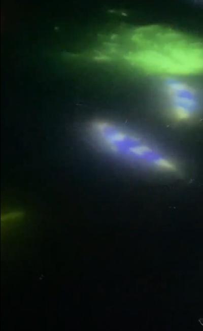 galleries/8.3/Screenshot 2023-08-09 162902.jpg